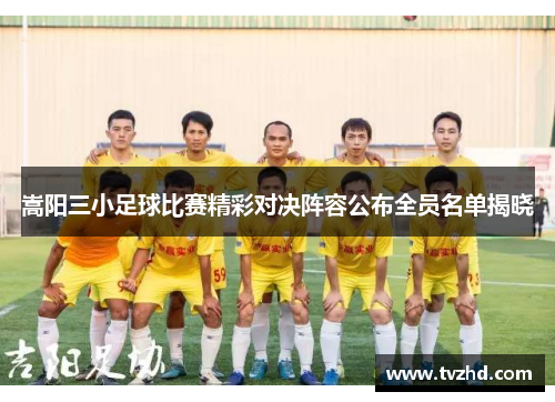 嵩阳三小足球比赛精彩对决阵容公布全员名单揭晓