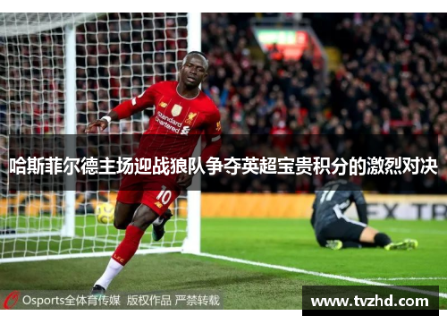 哈斯菲尔德主场迎战狼队争夺英超宝贵积分的激烈对决