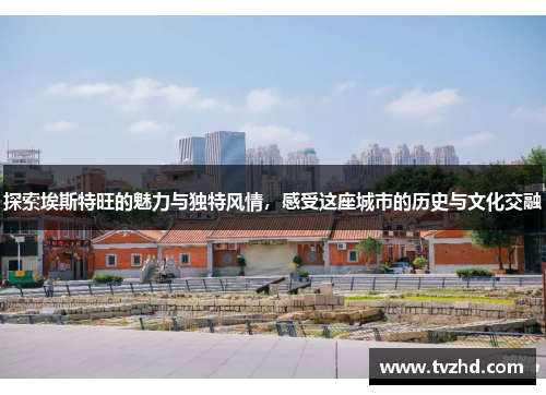 探索埃斯特旺的魅力与独特风情，感受这座城市的历史与文化交融